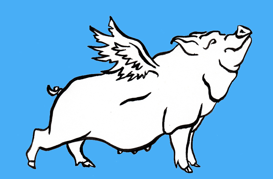 Line drawing of a pig with wings against a blue background