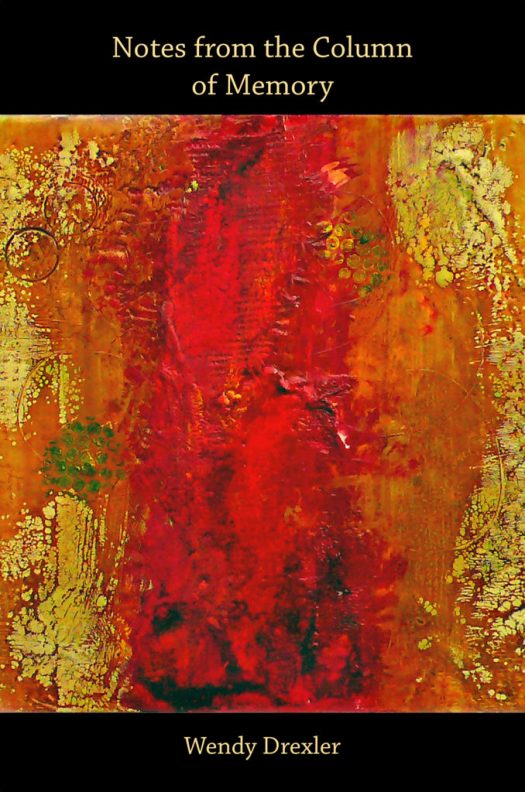 Cover image of NOTES FROM THE COLUMN OF MEMORY by Wendy Drexler